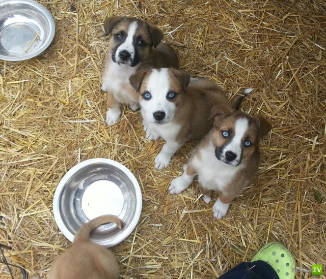 ����� � �������� ��������, ����� 2 (50 ����)