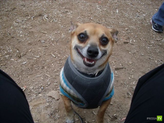 ����� � �������� ��������, ����� 2 (50 ����)