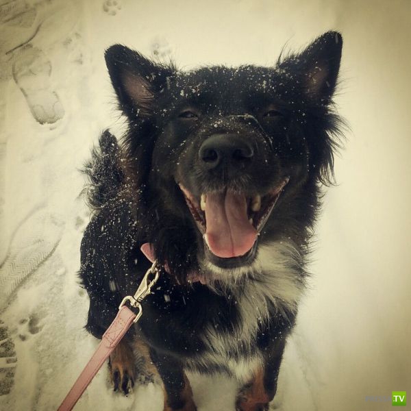 ����� � �������� ��������, ����� 2 (50 ����)