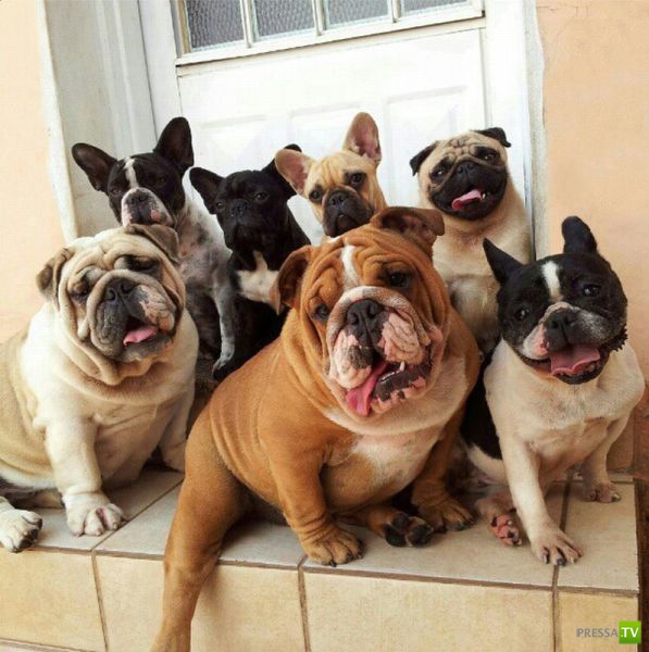 ����� � �������� ��������, ����� 2 (50 ����)