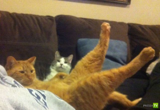 ����� � �������� ��������, ����� 2 (50 ����)