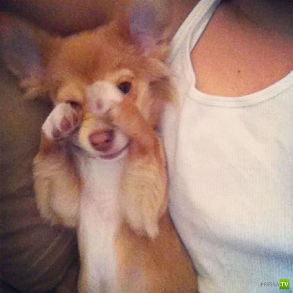 ����� � �������� ��������, ����� 2 (50 ����)