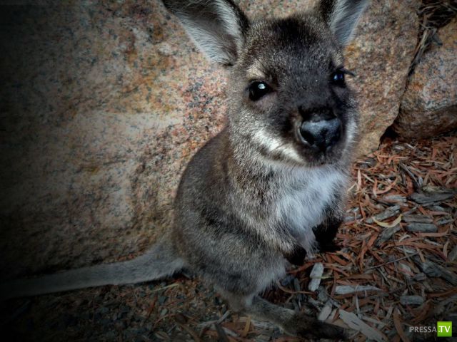 ����� � �������� ��������, ����� 2 (50 ����)