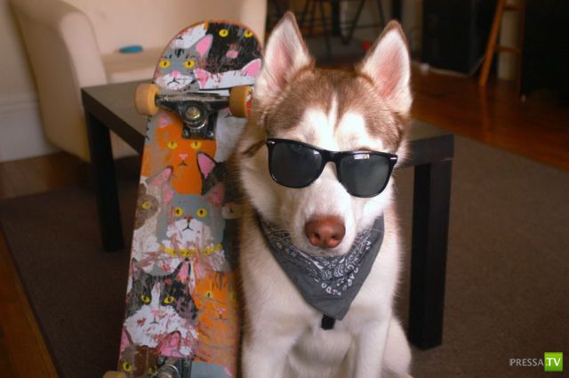 ����� � �������� ��������, ����� 2 (50 ����)