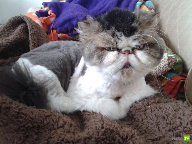 ����� � �������� ��������, ����� 2 (50 ����)