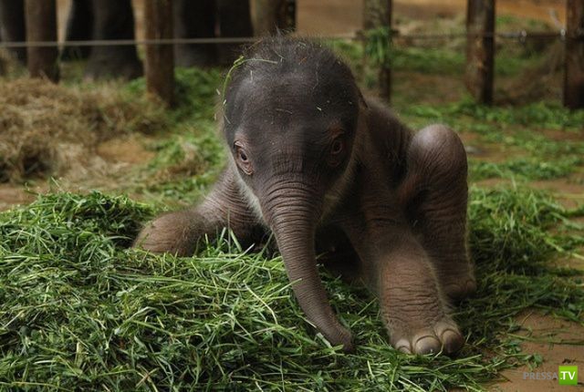 ����� � �������� ��������, ����� 2 (50 ����)