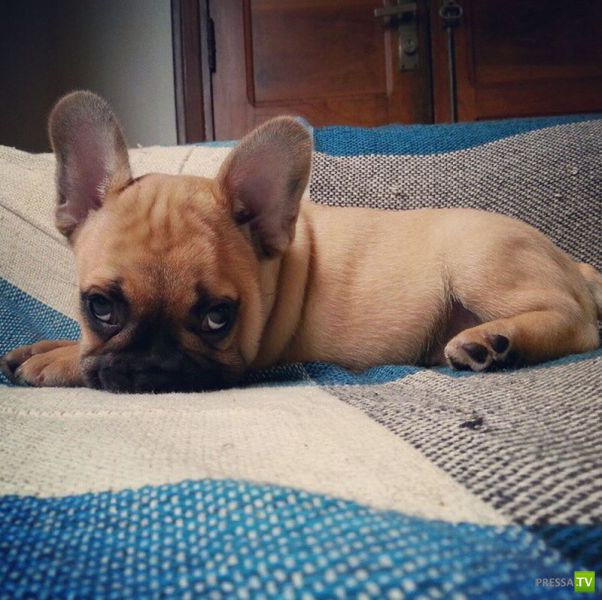 ����� � �������� ��������, ����� 2 (50 ����)