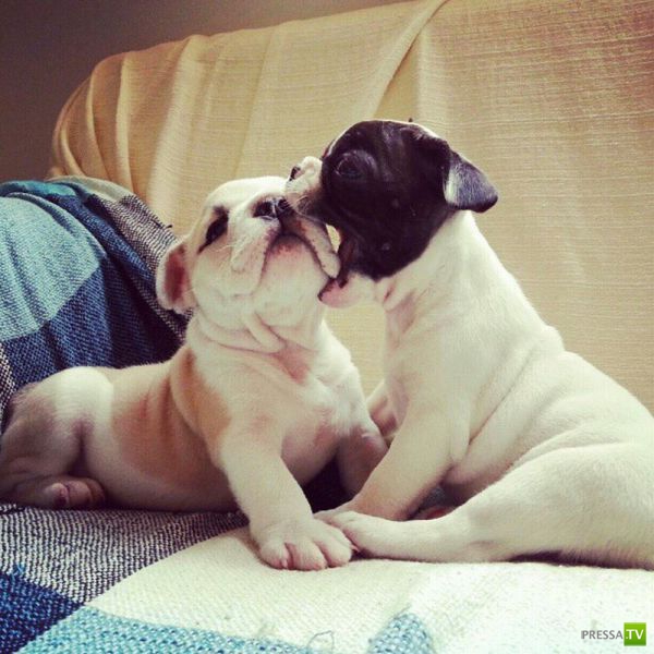 ����� � �������� ��������, ����� 2 (50 ����)