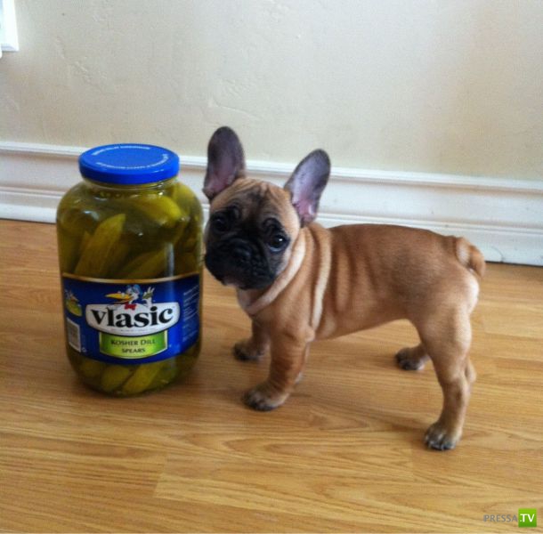 ����� � �������� ��������, ����� 2 (50 ����)