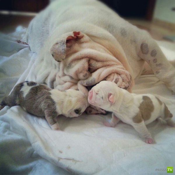 ����� � �������� ��������, ����� 2 (50 ����)