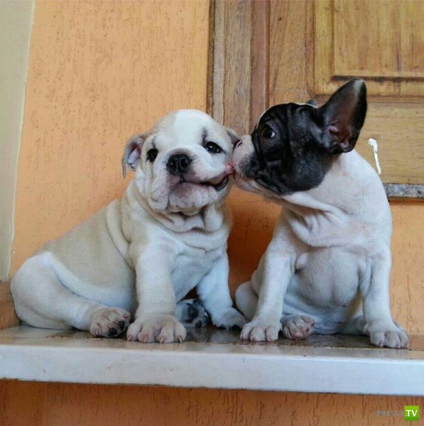 ����� � �������� ��������, ����� 2 (50 ����)