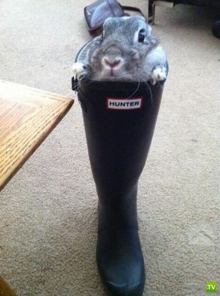 ����� � �������� ��������, ����� 2 (50 ����)