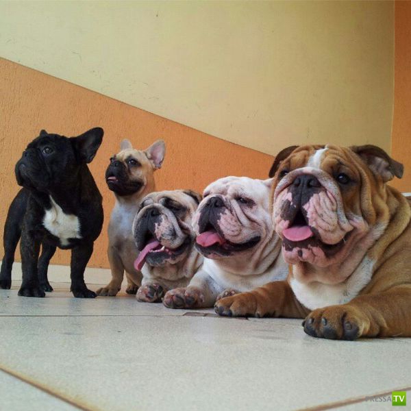 ����� � �������� ��������, ����� 2 (50 ����)