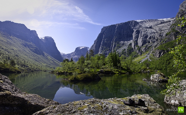 ������������ ��������������������� �������� - ������ (6 ����)