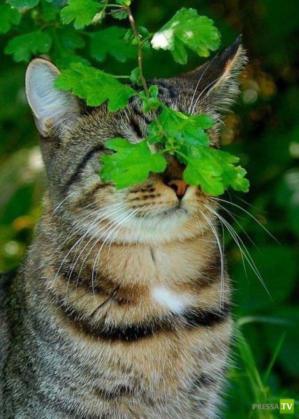 ����� � �������� ��������, ����� 3 (46 ����)