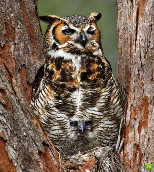 ����� � �������� ��������, ����� 3 (46 ����)