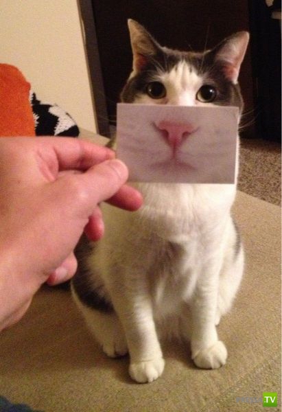 ����� � �������� ��������, ����� 3 (46 ����)