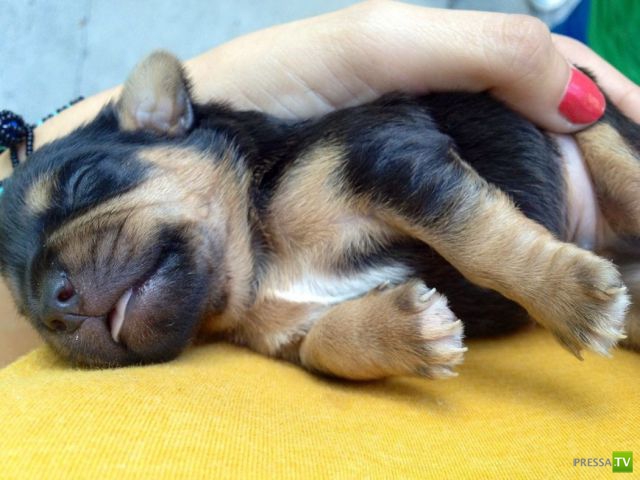 ����� � �������� ��������, ����� 3 (46 ����)