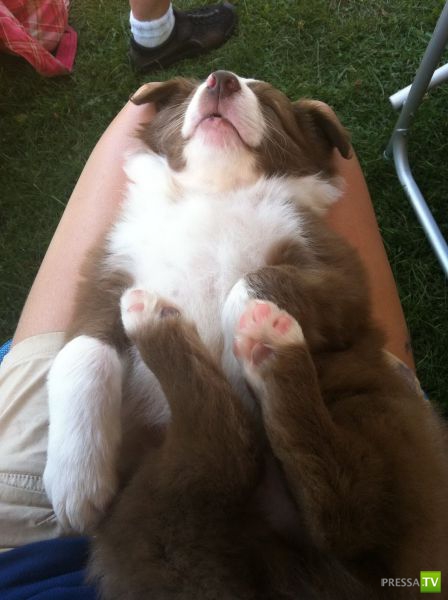 ����� � �������� ��������, ����� 3 (46 ����)