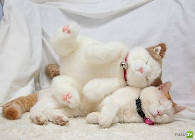 ����� � �������� ��������, ����� 3 (46 ����)