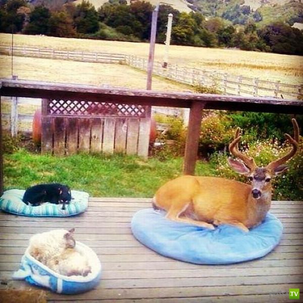 ����� � �������� ��������, ����� 3 (46 ����)