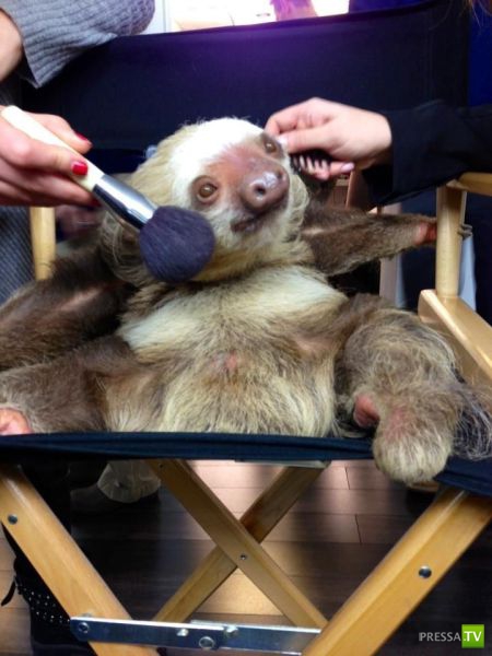 ����� � �������� ��������, ����� 3 (46 ����)