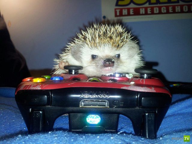 ����� � �������� ��������, ����� 3 (46 ����)