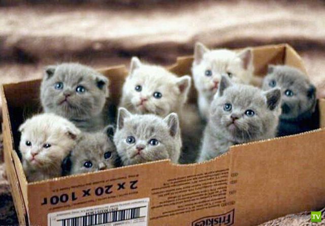 ����� � �������� ��������, ����� 3 (46 ����)