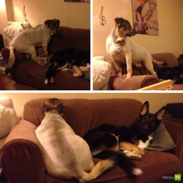 ����� � �������� ��������, ����� 3 (46 ����)