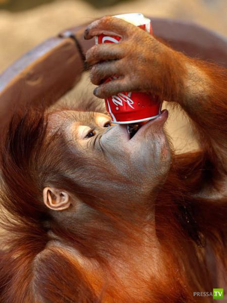 ����� � �������� ��������, ����� 3 (46 ����)