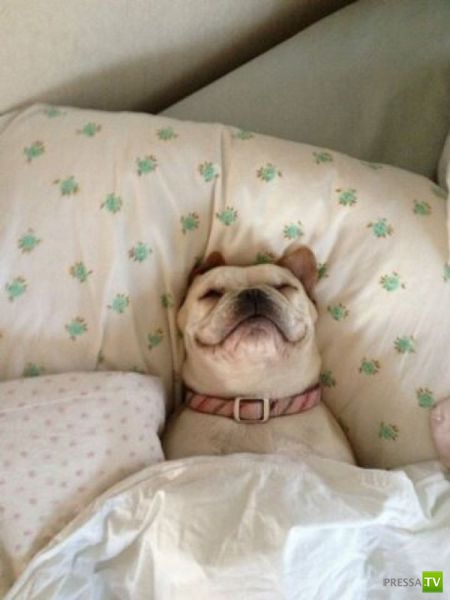 ����� � �������� ��������, ����� 3 (46 ����)