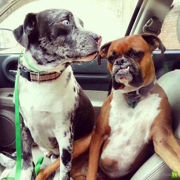 ����� � �������� ��������, ����� 3 (46 ����)