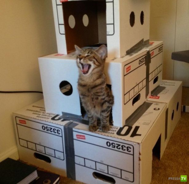 ����� � �������� ��������, ����� 3 (46 ����)