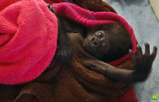 ����� � �������� ��������, ����� 3 (46 ����)