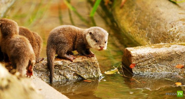 ����� � �������� ��������, ����� 3 (46 ����)