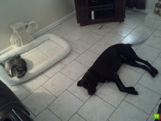 ����� � �������� ��������, ����� 3 (46 ����)