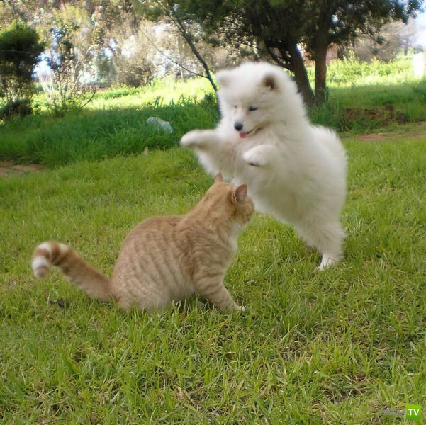 ����� � �������� ��������, ����� 3 (46 ����)