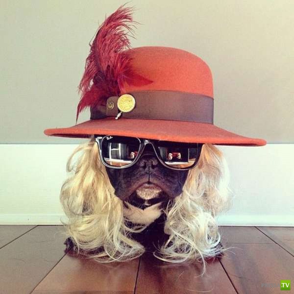 ����� � �������� ��������, ����� 3 (46 ����)