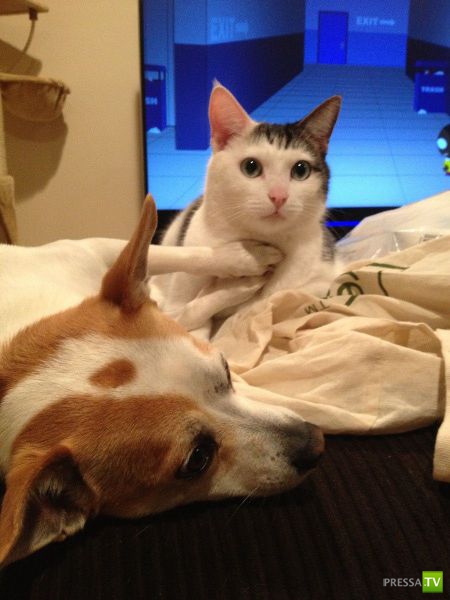 ����� � �������� ��������, ����� 3 (46 ����)