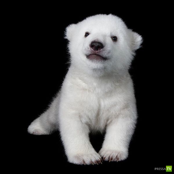 ����� � �������� ��������, ����� 3 (46 ����)