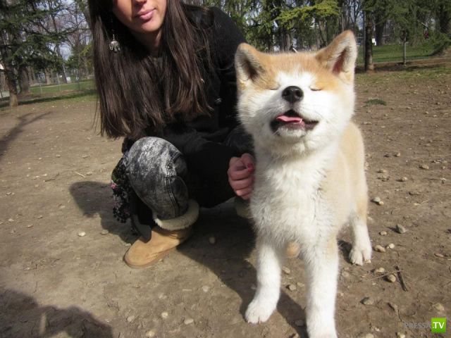 ����� � �������� ��������, ����� 3 (46 ����)