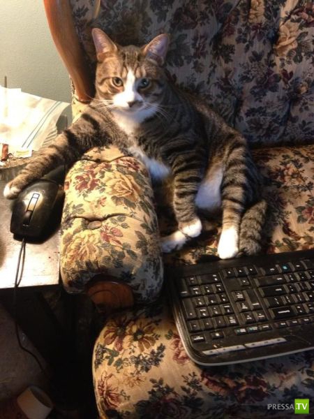 ����� � �������� ��������, ����� 3 (46 ����)