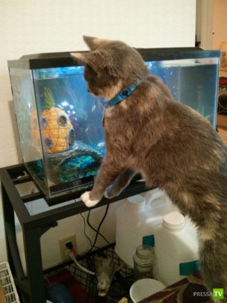 ����� � �������� ��������, ����� 3 (46 ����)