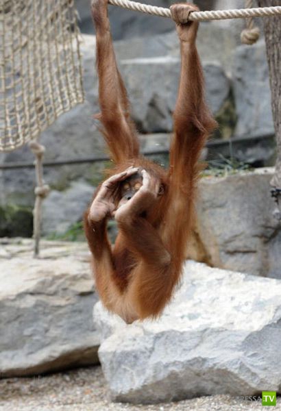 ����� � �������� ��������, ����� 3 (46 ����)