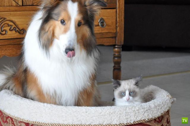 ����� � �������� ��������, ����� 3 (46 ����)