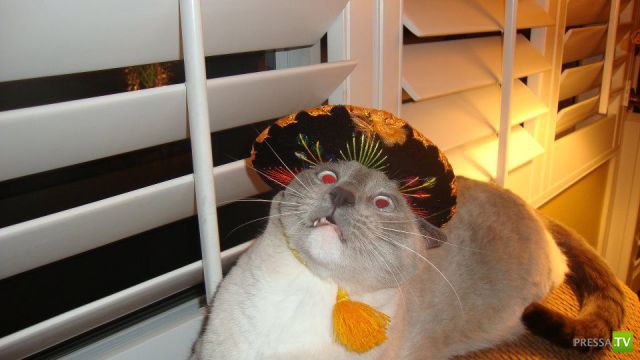 ����� � �������� ��������, ����� 3 (46 ����)