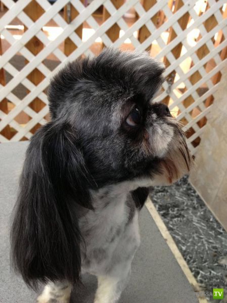 ����� � �������� ��������, ����� 3 (46 ����)