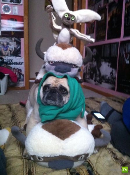 ����� � �������� ��������, ����� 3 (46 ����)