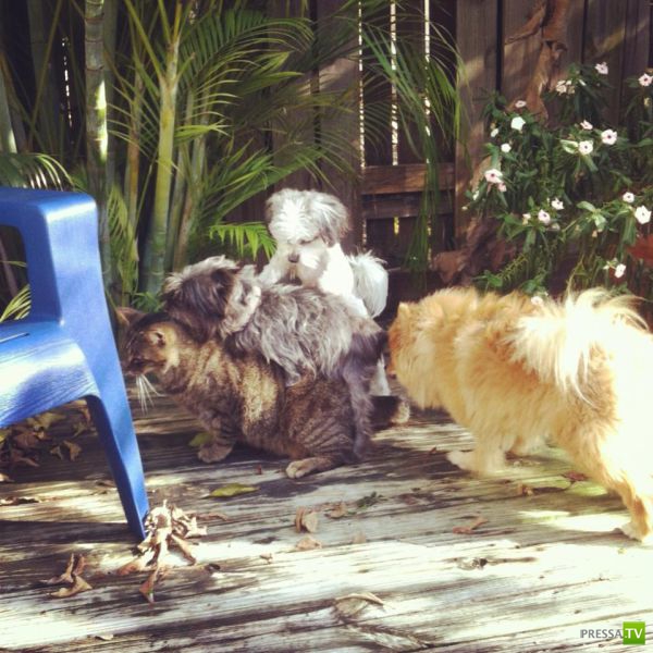 ����� � �������� ��������, ����� 3 (46 ����)