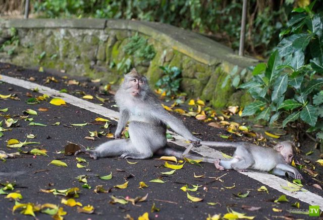 ����� � �������� ��������, ����� 3 (46 ����)